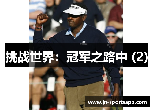 挑战世界：冠军之路中 (2)